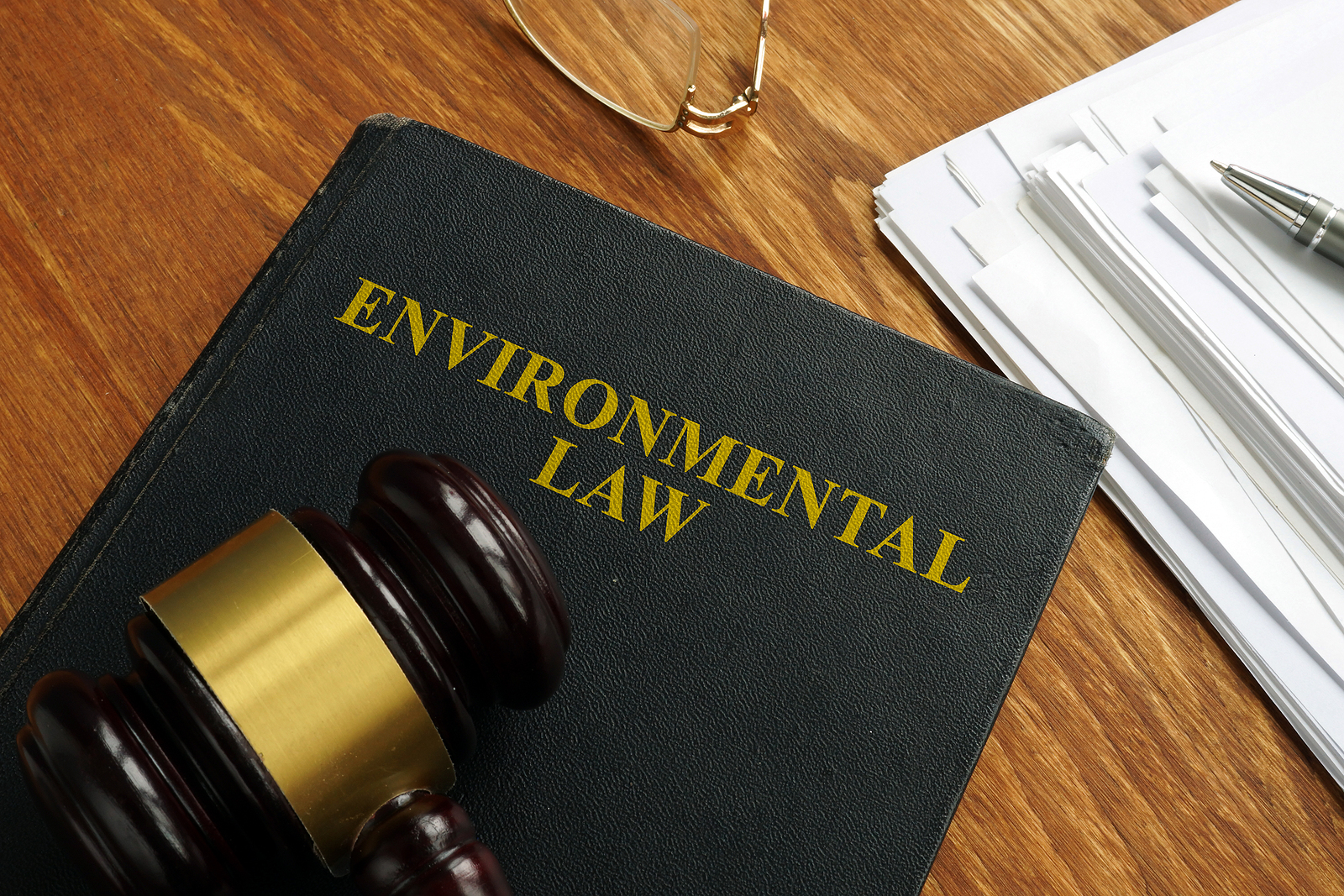 Best Environmental Law Firms in Delhi NCR